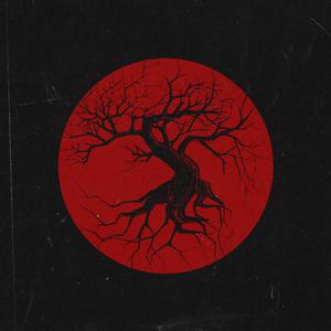 七色导航精品国产AV
